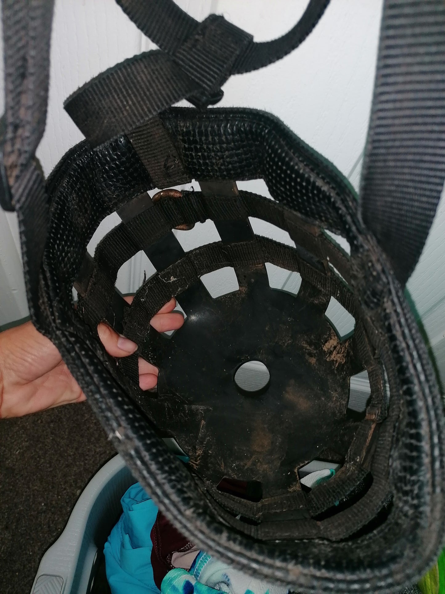 Aerborn Grazing Muzzle