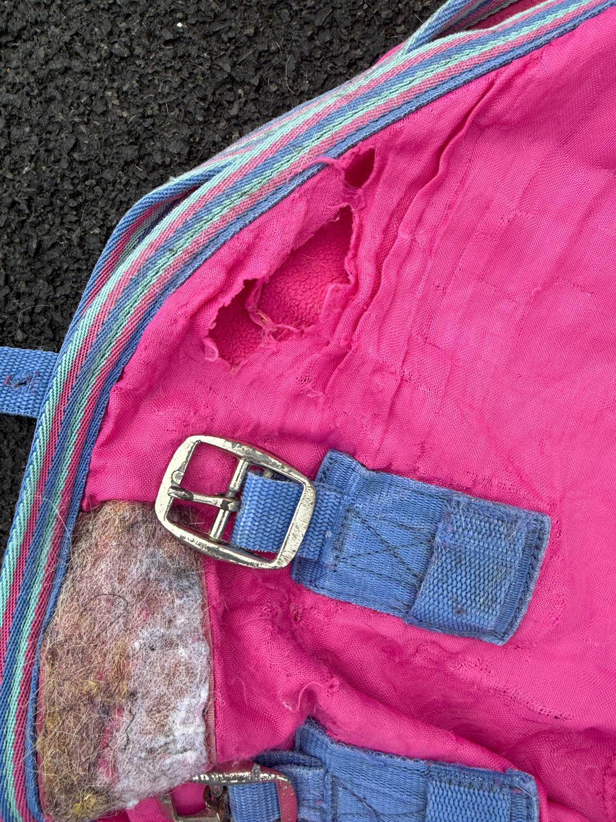 5’3 Cuddly Ponies Fleece