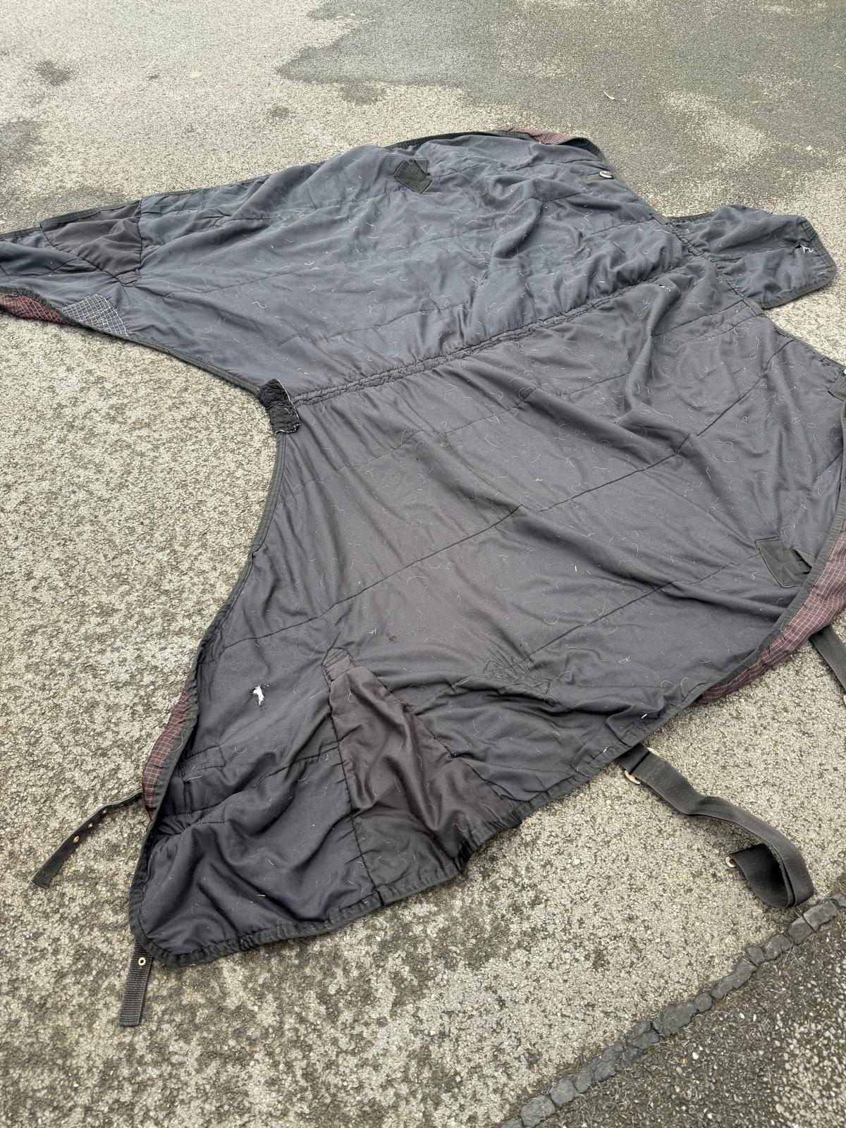 Rhinegold 5’3 Medium Stable