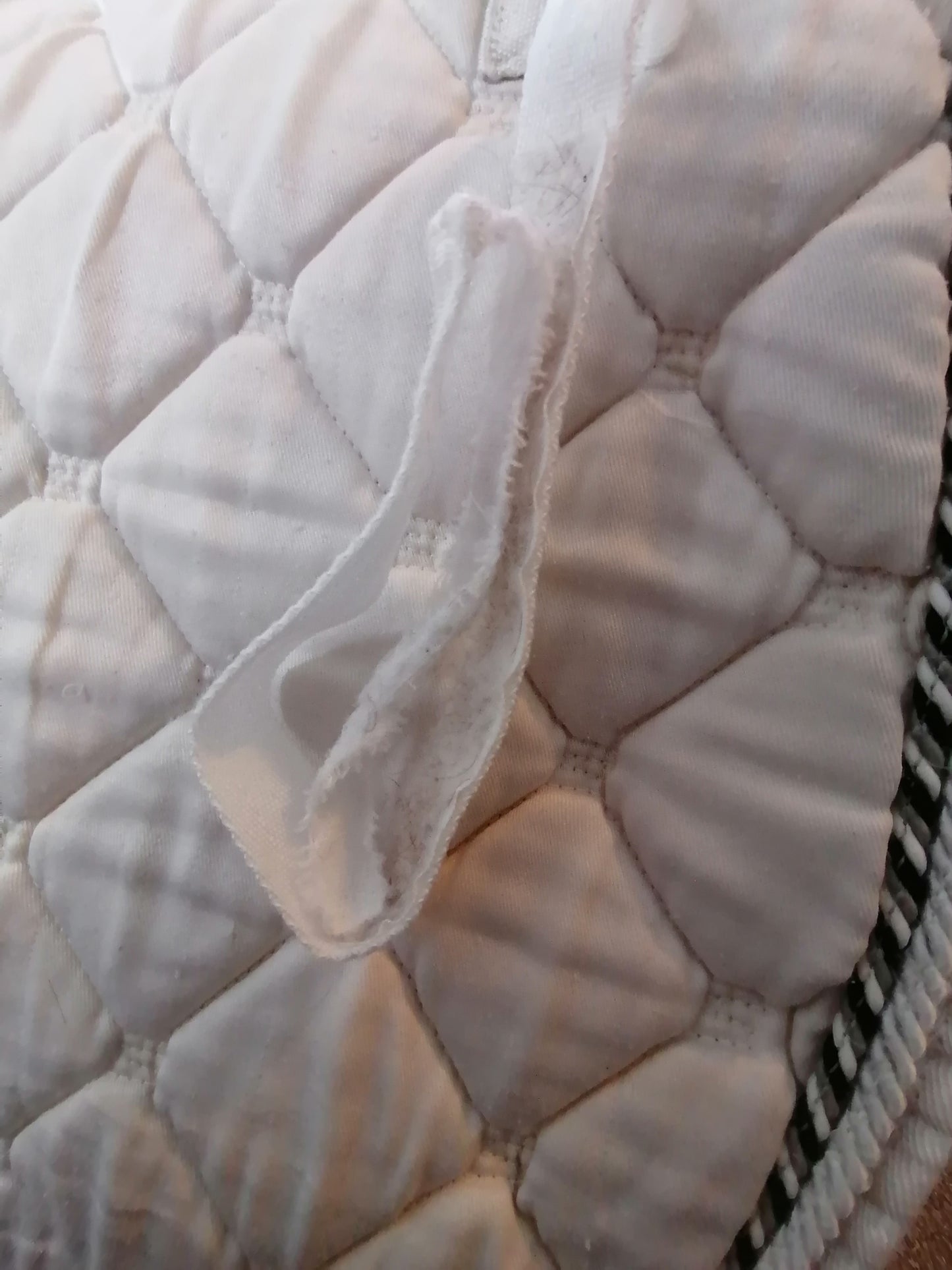 White GP Saddle Pad