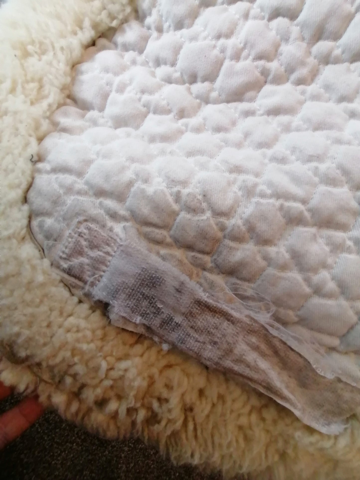 Mattes Full Sheepskin Numnah