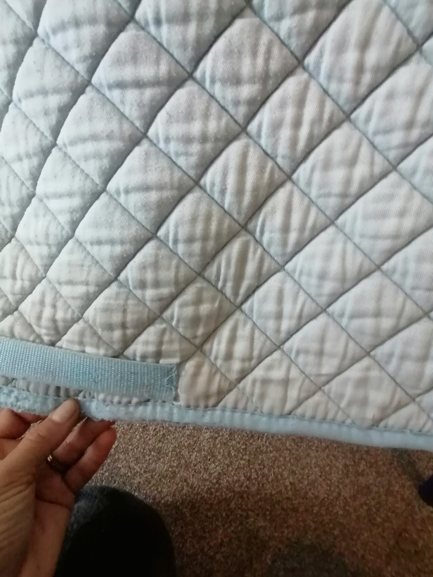 Weatherbeeta Saddle Pad