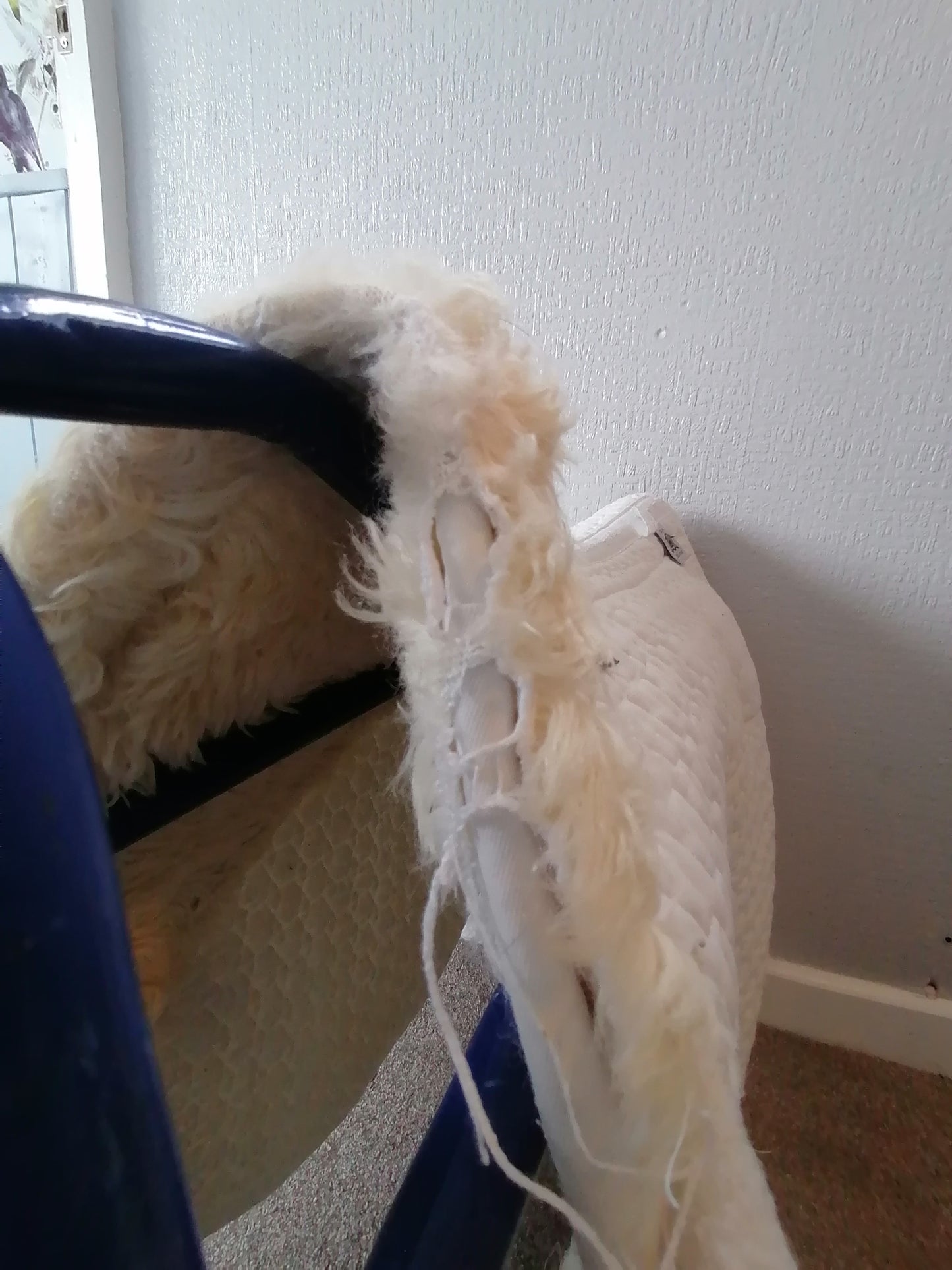 Mattes Dressage Saddle Pad