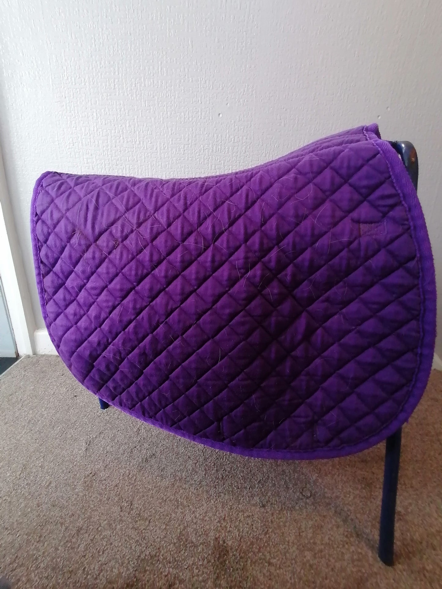 Gallop Purple GP Saddle Pad