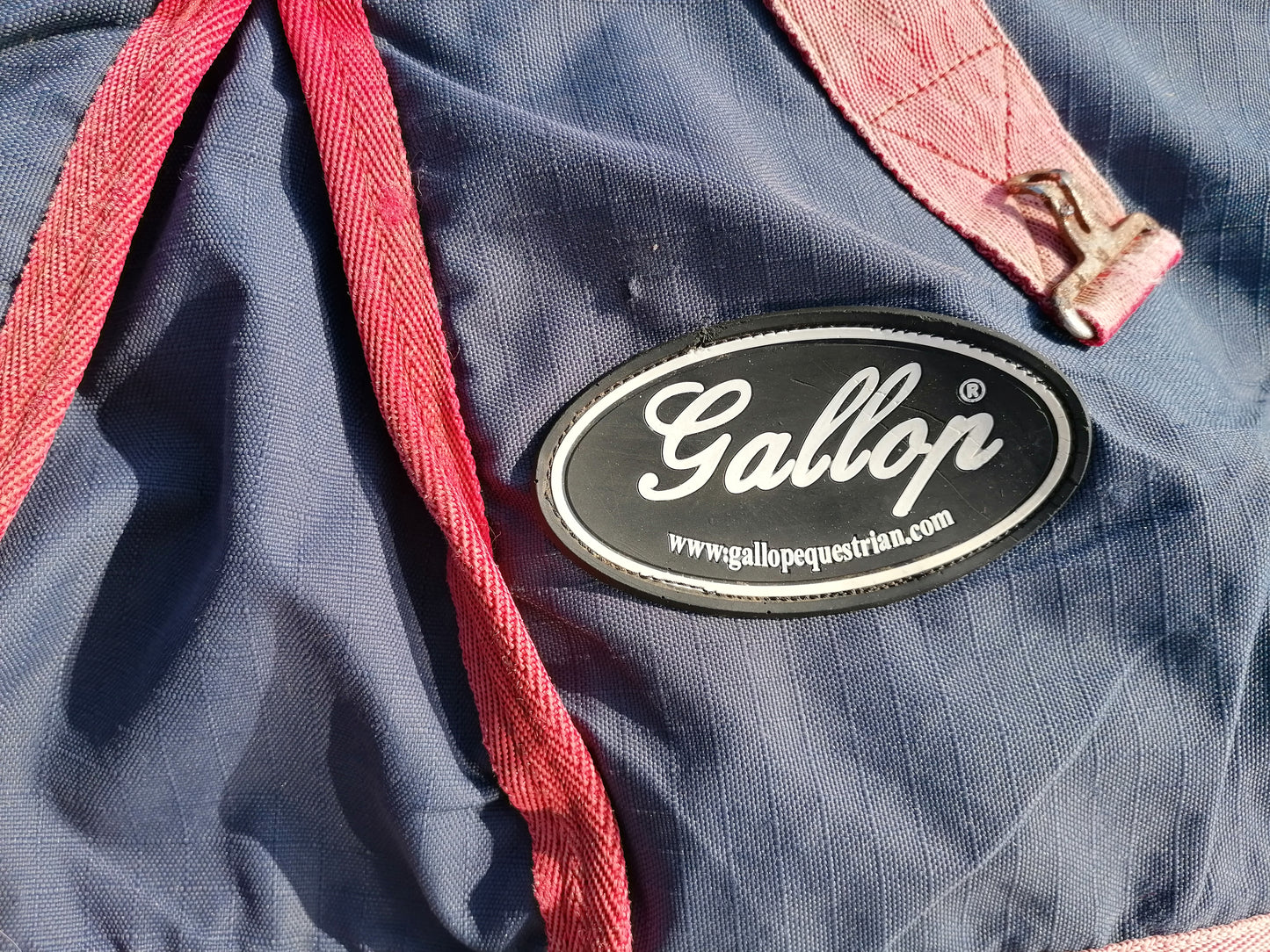 Gallop 4’3 100g Turnout