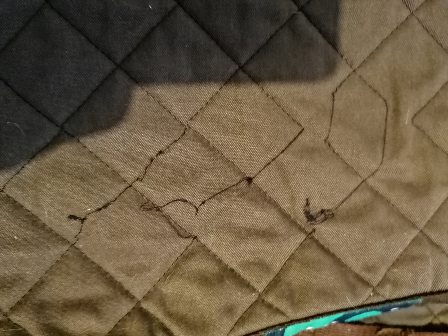 Nuumed Brown Show Pad