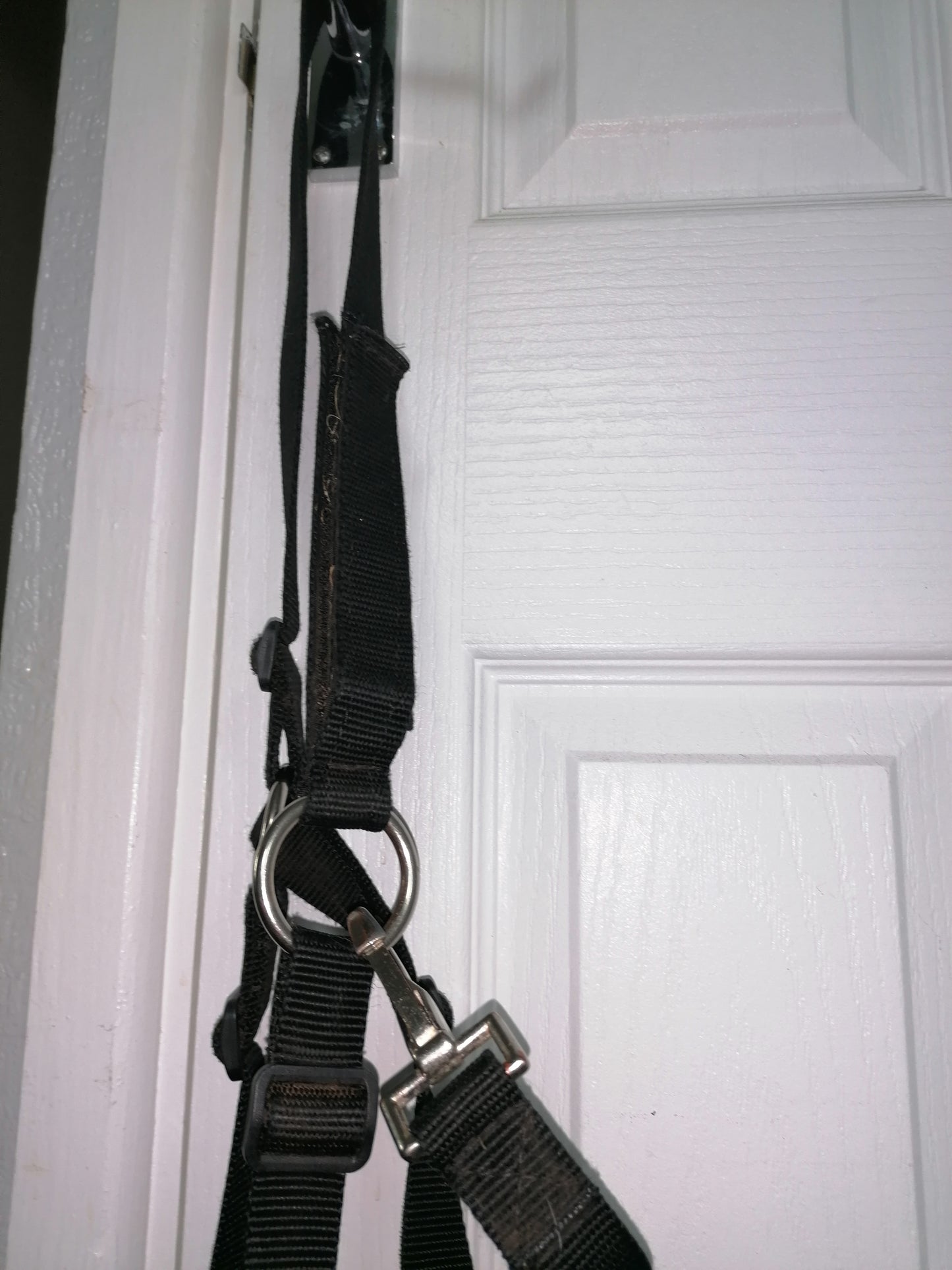 Hy Cob Grazing Muzzle