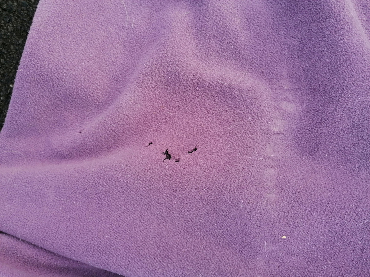 Masta 6’0 Fleece
