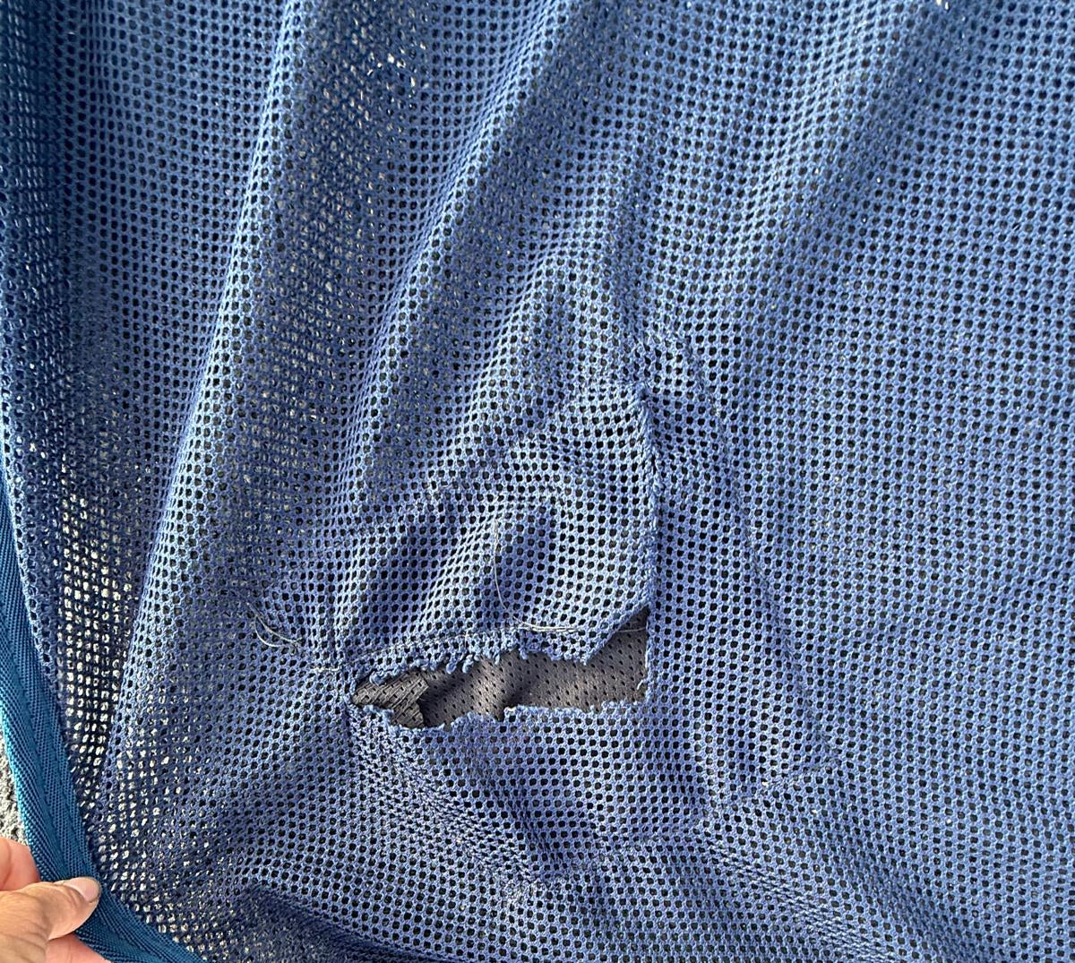 Mark Todd 6’6 Sweat Rug