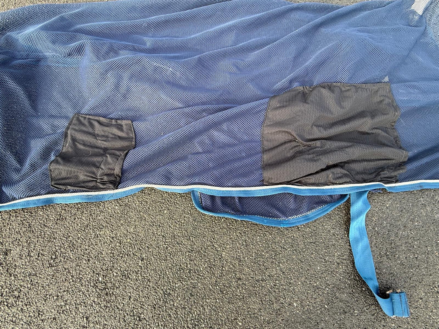 Mark Todd 6’6 Sweat Rug