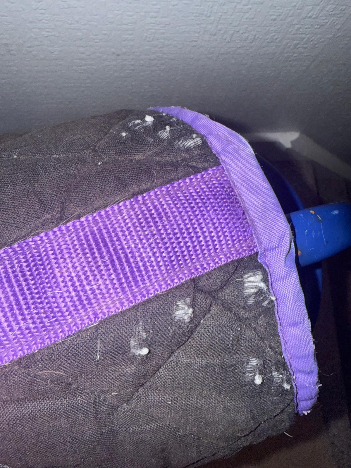Rhino Pony Pad