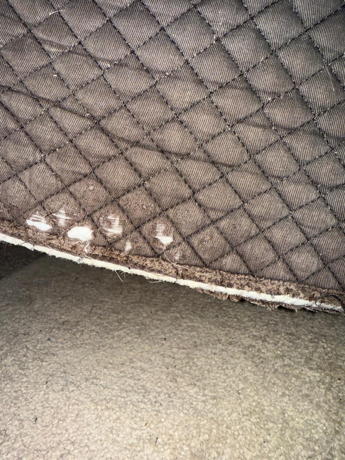 Equest Saddle Pad
