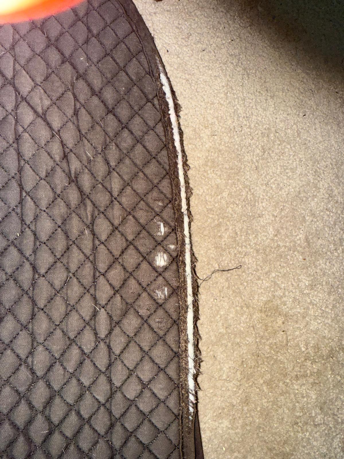 Equest Saddle Pad