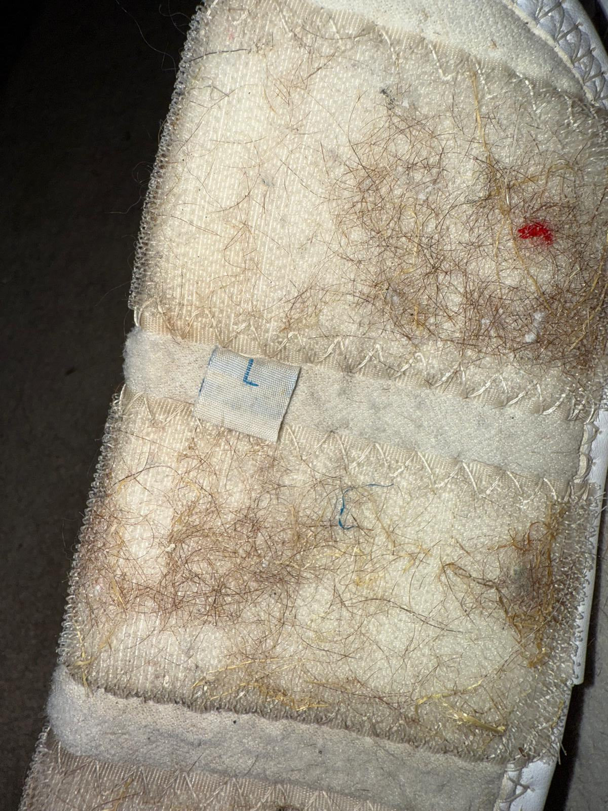 Premier Equine Brushing Boots Large
