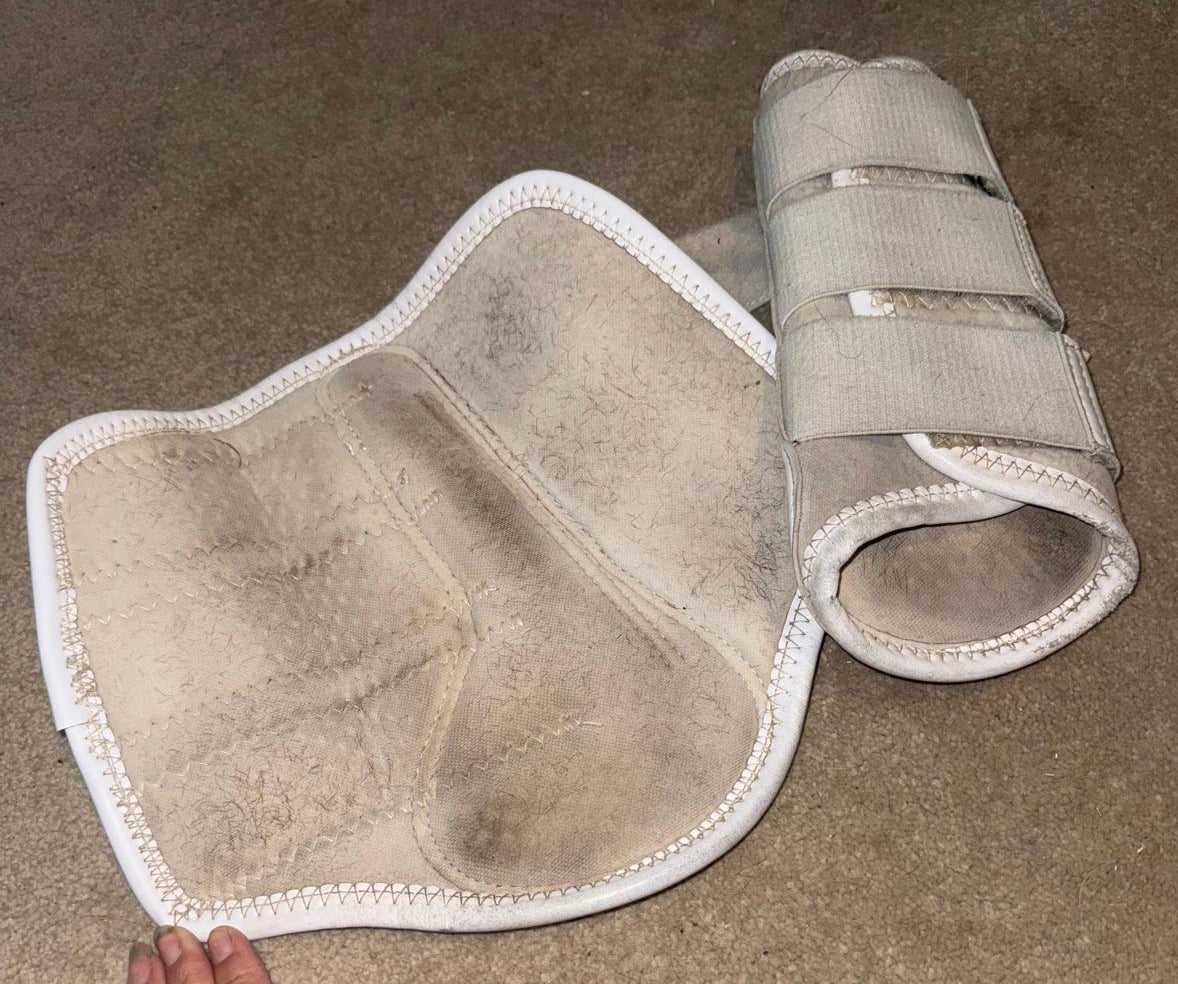 Premier Equine Brushing Boots Large